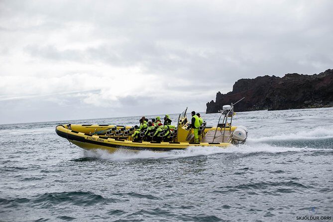 1-Hour Small Group Sightseeing Boat Tour in Vestmannaeyjar - Who This Tour Fits Best (And Who Might Want a Different Option)