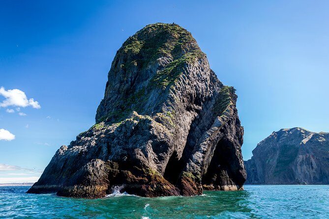 1-Hour Small Group Sightseeing Boat Tour in Vestmannaeyjar - Should You Book Ribsafari for Your Vestmannaeyjar Day?