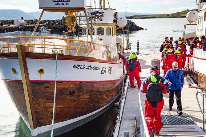 100% Whale Watching - The Boat Ride Out: Traditional Wooden Craft and Fast Sight-Scanning