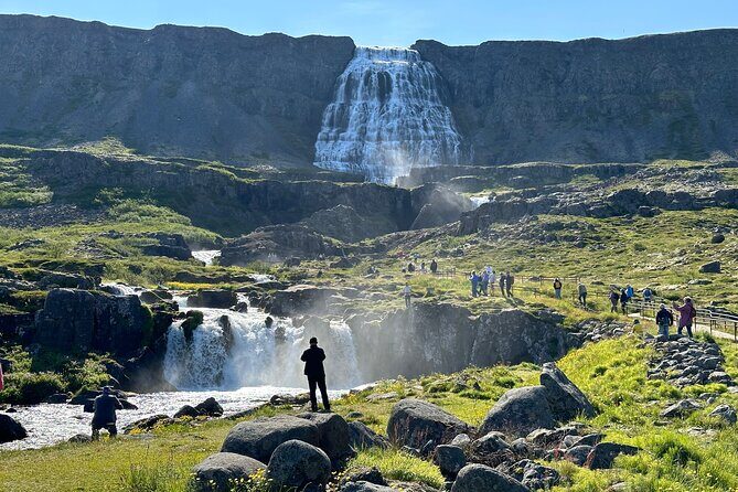 3,5-Hour Sightseeing Tour To Dynjandi Waterfall - Price and What You’re Actually Buying at This Cost
