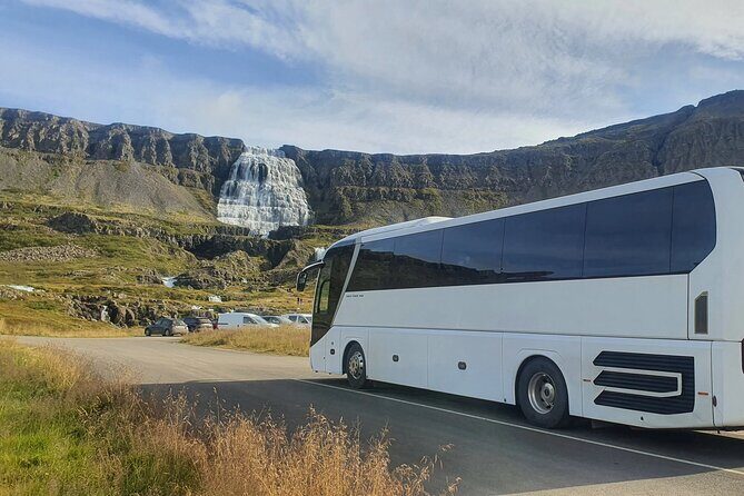 3,5-Hour Sightseeing Tour To Dynjandi Waterfall - Booking Tips and Weather Reality (Keep This One Flexible)