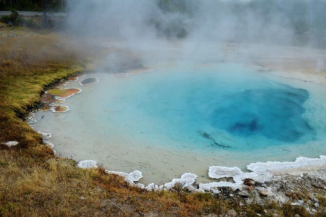 6-Day Minibus Tour Around Iceland from Reykjavik - Day 6 Hauganes whale watching plus the drive back to Reykjavik
