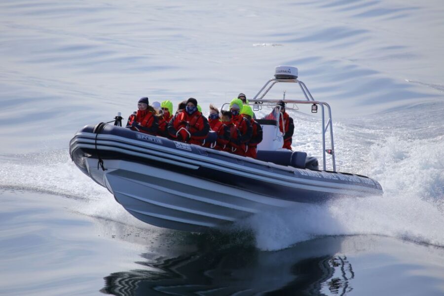 Akureyri: 2-Hour Whale Watching Express by RIB Speedboat - Wildlife watching rules that keep it respectful (and better for photos)