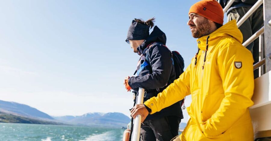 Akureyri: 3-Hour Classic Whale Watching Tour by Ship - Quick Takeaways for Your Akureyri Whale Trip