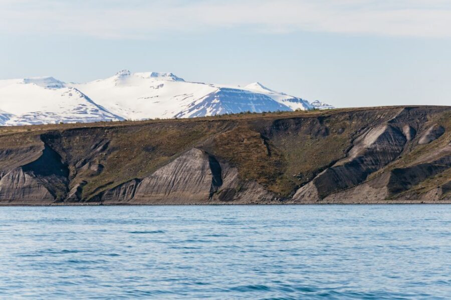 Akureyri: 3-Hour Classic Whale Watching Tour by Ship - Should You Book It? My Practical Call