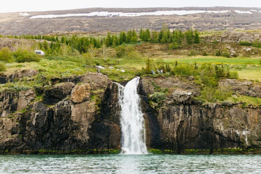 Akureyri: 3-Hour Classic Whale Watching Tour by Ship - Eyjafjörður: Why This Fjord Is the Main Event