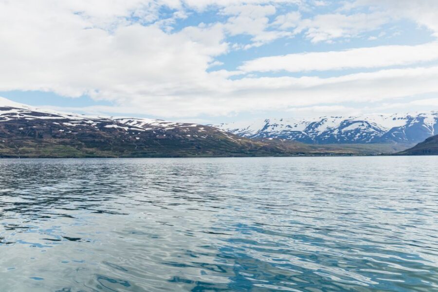 Akureyri: 3-Hour Classic Whale Watching Tour by Ship - What Happens During the 2.5 to 3.5 Hour Cruise