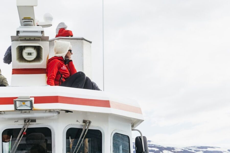 Akureyri: 3-Hour Classic Whale Watching Tour by Ship - Guides and the Whale-Diary System: How You Get Better at Watching
