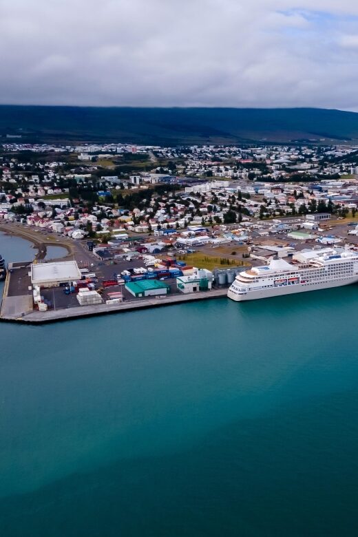 Akureyri: Whale Watching Shore Excursions - What the cruise experience feels like out on Eyjafjörður