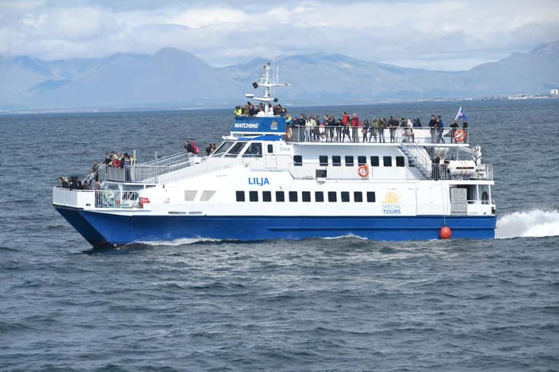 Akureyri: Whale Watching Shore Excursions - Photos, wi-fi, and the onboard café: small comforts that keep you sane
