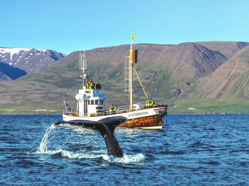 Árskógssandur: Whale-Watching Boat Trip - Where Árskógssandur fits into North Iceland