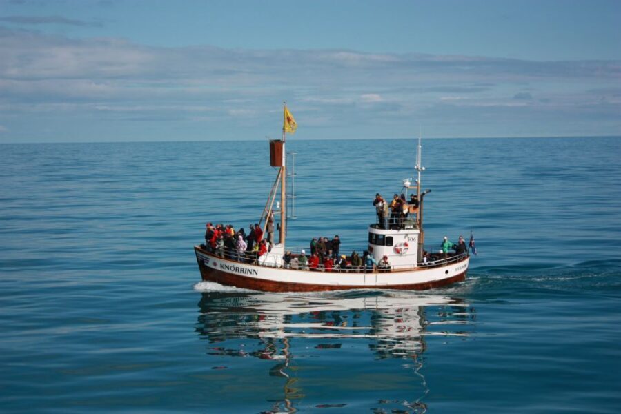 Árskógssandur: Whale-Watching Boat Trip - The best part after you spot whales: warming up