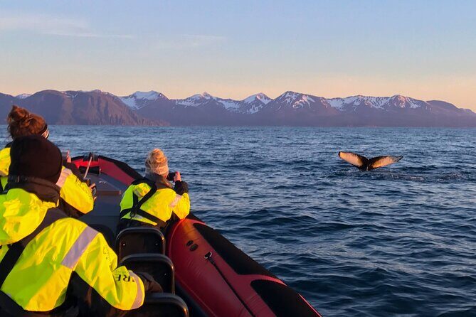Big Whales & Puffins RIB boat tour from Húsavík - The sea-state reality check: cold, wet, and bumpy is part of the deal
