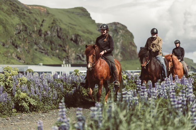 Black Sand Beach Horse Riding Tour from Vik - Key things to know before you ride Víkurfjara