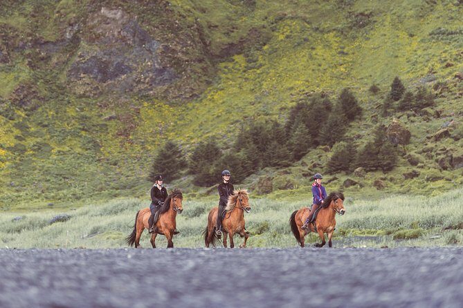 Black Sand Beach Horse Riding Tour from Vik - Who this tour suits best (and who should look elsewhere)