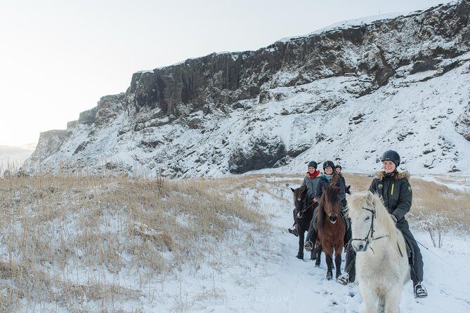 Black Sand Beach Horse Riding Tour from Vik - What you get for the price: value at $133.02 per person
