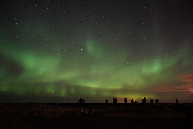 Chasing Aurora Borealis with Warmth and Treats in Premium Tour! - Price and value: why $249 can feel fair—or not