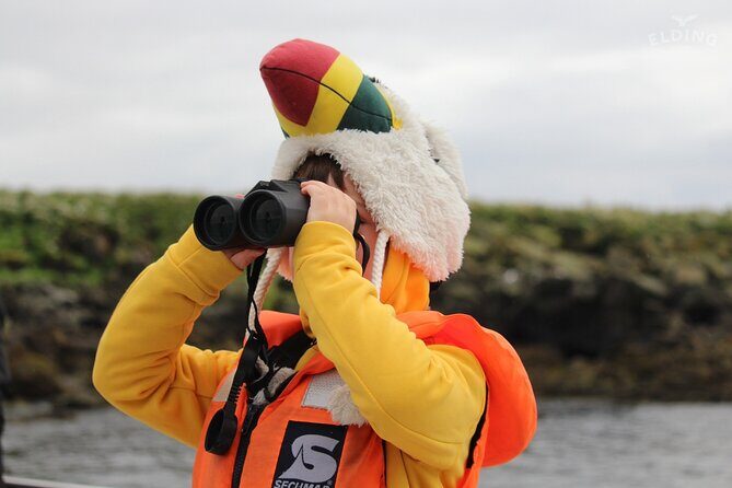 Classic Puffin Watching Cruise from Downtown Reykjavík - The Reykjavik Views You Gain from the Sea (Harpa, Hallgrímskirkja, Sun Voyager)