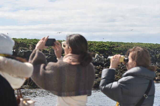 Classic Puffin Watching Cruise from Downtown Reykjavík - Meeting at the Old Harbour: Quick Check-In, Then Out on a Smaller Boat