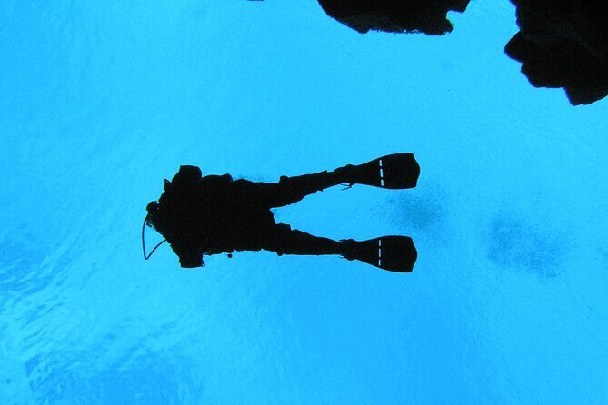 Dive the Divide: Silfra Fissure Scuba Tour | Meet at Thingvellir - The cold-water challenge: what the 400-meter carry really means
