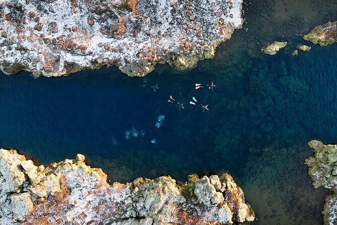 Dive the Divide: Silfra Fissure Scuba Tour | Meet at Thingvellir - Equipment and comfort: what’s provided and what you should plan