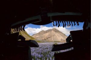 FlyOver Iceland Admission Ticket - The Simulated Flight: 180-Degree Views and Real Footage