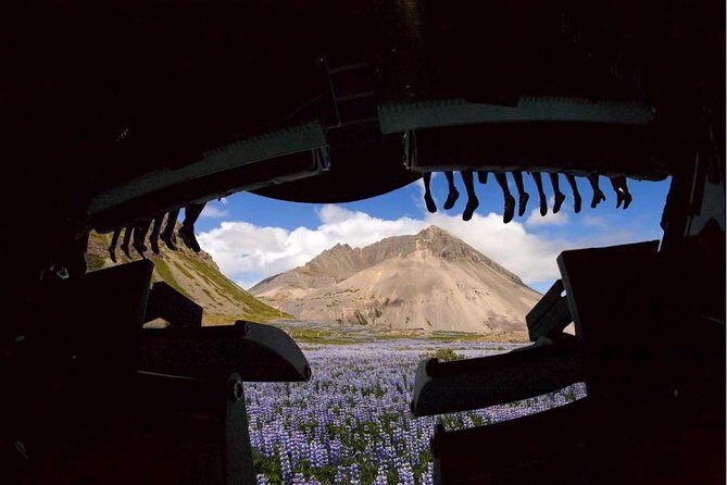 FlyOver Iceland Admission Ticket - The Simulated Flight: 180-Degree Views and Real Footage