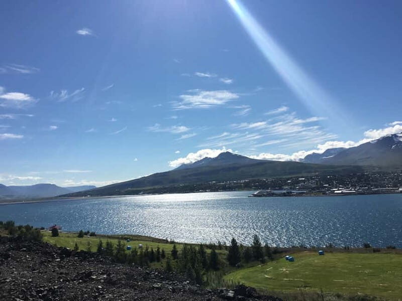 From Akureyri Port: Diamond Circle Guided Day Trip w/ Lunch - Lake Mývatn on the return: a passing look at something famously odd