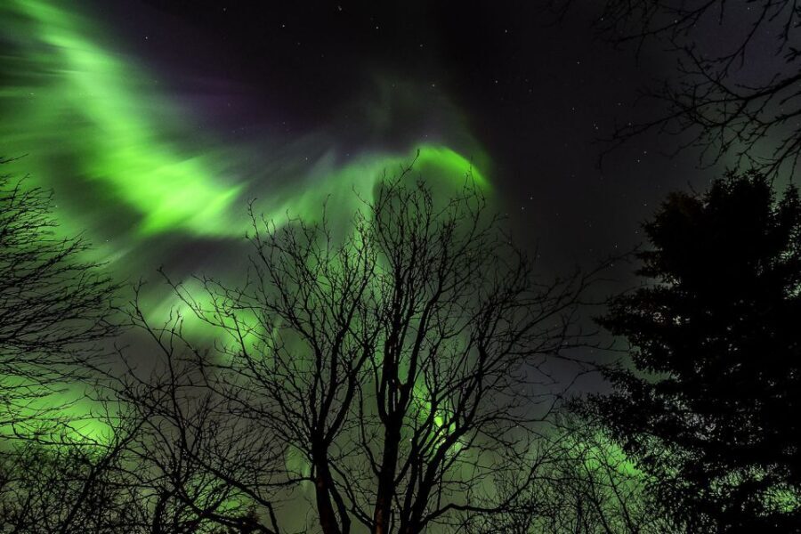 From Reykjavik: Golden Circle and Northern Lights Tour - What to Wear and Bring So the Night Hunt Doesn’t Hurt
