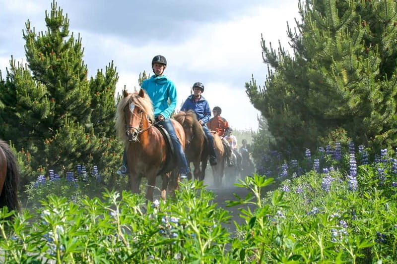 From Reykjavík: Icelandic Horse Riding Tour in Lava Fields - Icelandic horses vs. regular horses: what you’ll notice fast