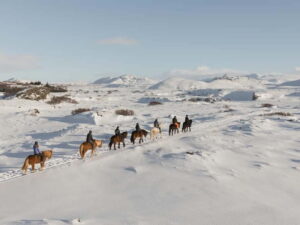 From Reykjavík: Icelandic Horse Riding Tour in Lava Fields - Íshestar Stables near Hafnarfjörður: the warm-up before the ride