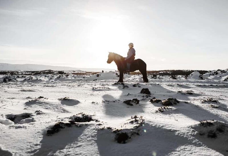 From Reykjavík: Icelandic Horse Riding Tour in Lava Fields - What’s included: gear, helmets, and the stuff you don’t have to guess