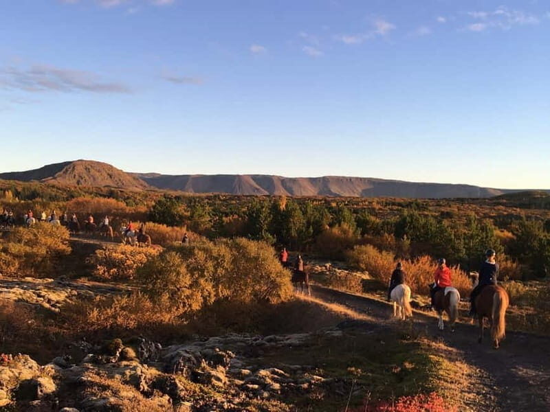 From Reykjavík: Icelandic Horse Riding Tour in Lava Fields - Price and value: is $141 reasonable for this kind of Iceland day?