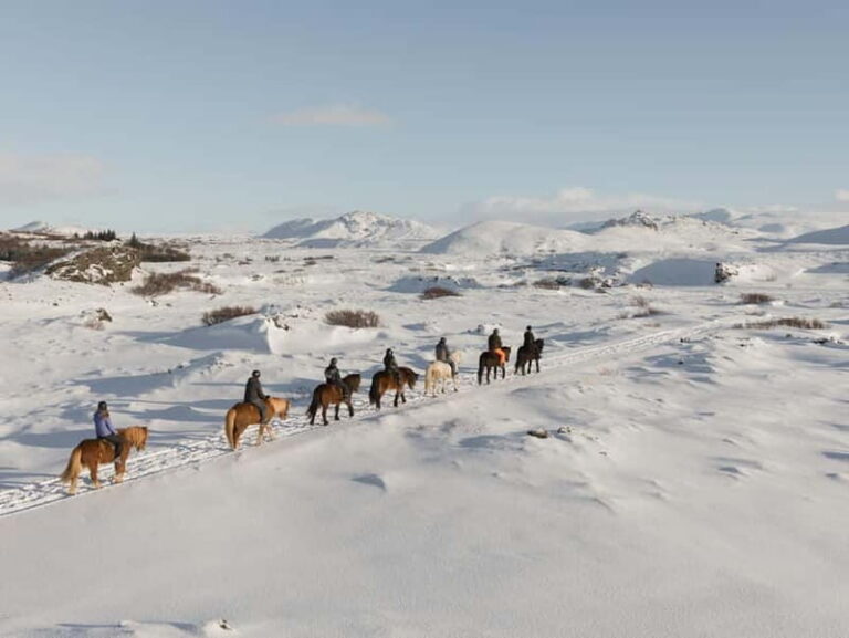 From Reykjavík: Icelandic Horse Riding Tour in Lava Fields - Íshestar Stables near Hafnarfjörður: the warm-up before the ride