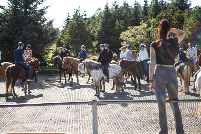 From Reykjavík: Icelandic Horse Riding Tour in Lava Fields - Weather reality: when Iceland turns up the volume