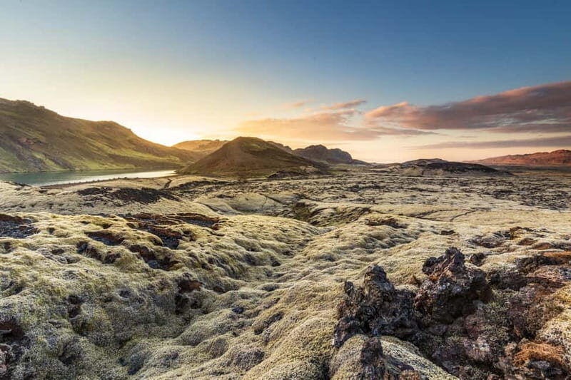 From Reykjavík: Icelandic Horse Riding Tour in Lava Fields - Who should book this horse tour, and who should skip it