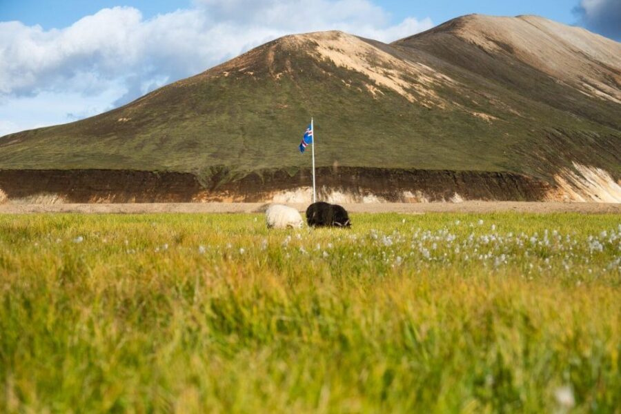 From Reykjavík: Landmannalaugar Day Hike - Price and Value: Does $214 Actually Make Sense?