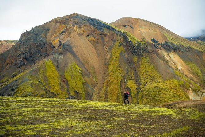 From Reykjavík: Landmannalaugar Hiking Day Tour - Price and value: what you’re paying for at $218.98