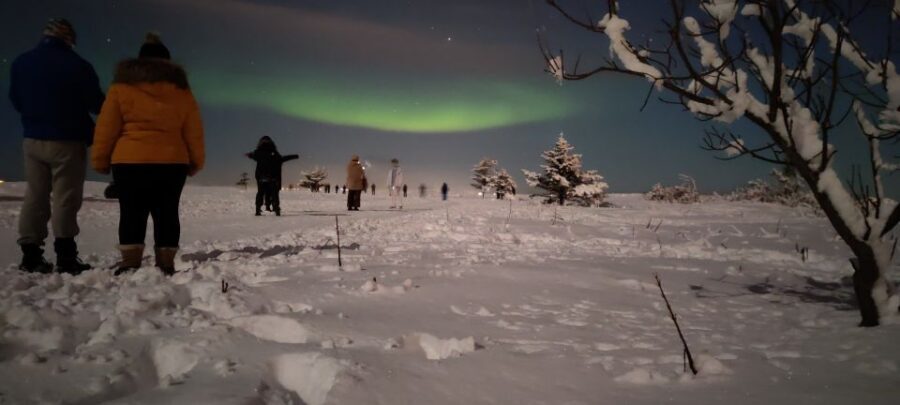 From Reykjavik: Northern Lights Chase with Expert Guide - A 3.5-hour Reykjavik aurora chase that actually manages risk
