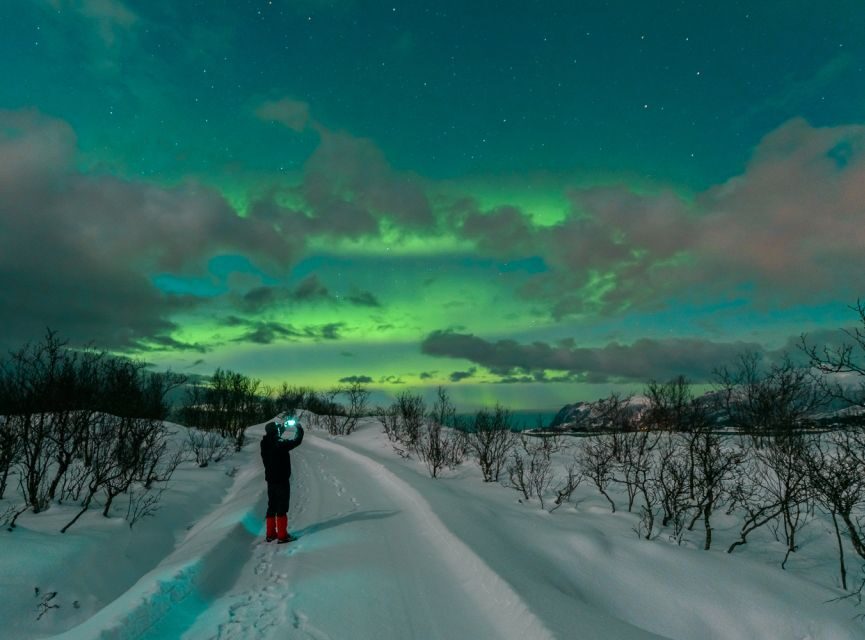 From Reykjavik: Northern Lights Chase with Expert Guide - The dark-sky stops: what the evening feels like hour by hour