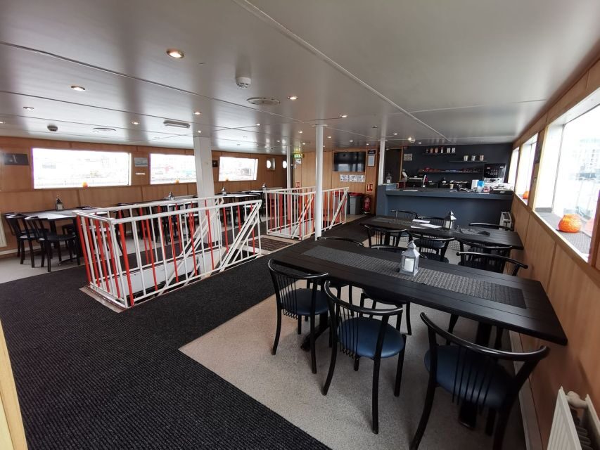 From Reykjavik: Northern Lights Sightseeing Cruise - Key Things I’d Notice First