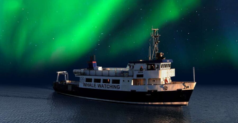 From Reykjavik: Northern Lights Sightseeing Cruise - From Old Harbour House to Quiet Water: What the 2 Hours Feels Like