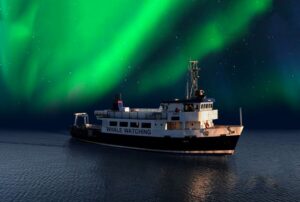 From Reykjavik: Northern Lights Sightseeing Cruise - Double Observation Decks, Blankets, and Free Wi‑Fi: Comfort Without Fancy Fuss