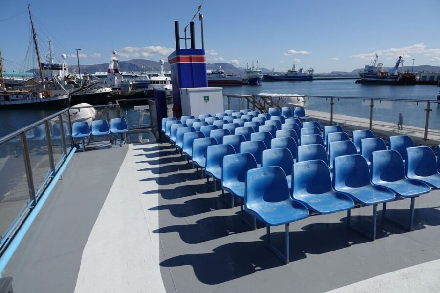 From Reykjavik: Northern Lights Sightseeing Cruise - Should You Book This Northern Lights Cruise From Reykjavik?