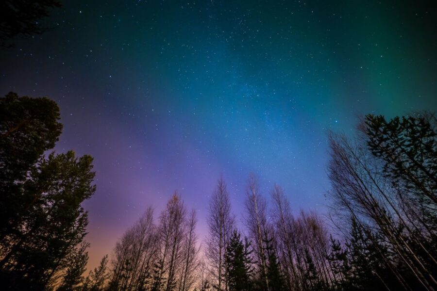From Reykjavik: Northern Lights Tour - When You See Lights: What to Look for in the Arctic Night