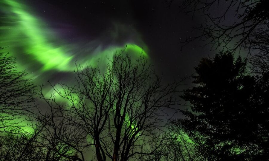 From Reykjavik: Northern Lights Tour with Lifetime Guarantee - Key highlights you’ll care about