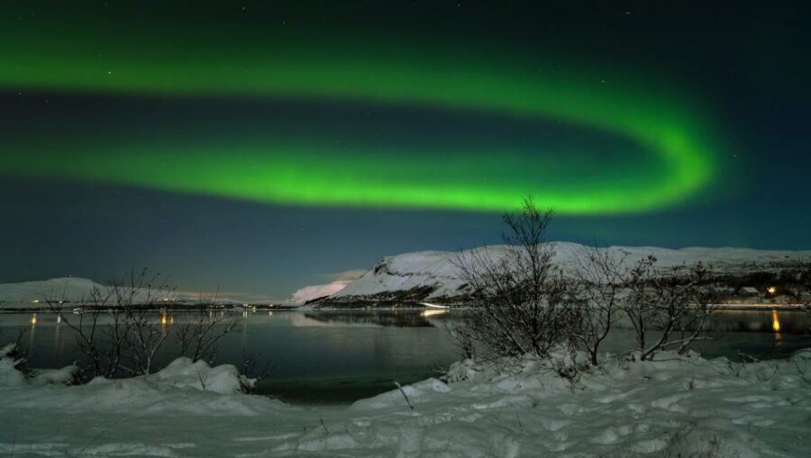 From Reykjavik: Northern Lights Tour with Lifetime Guarantee - Timing Rules: Know When the Tour Runs in Your Dates