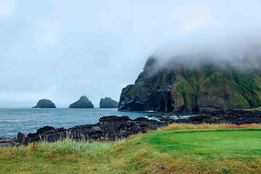 From Reykjavik: Puffin and Volcano Tour in Westman Islands - Who should book this Westman Islands puffin and volcano day