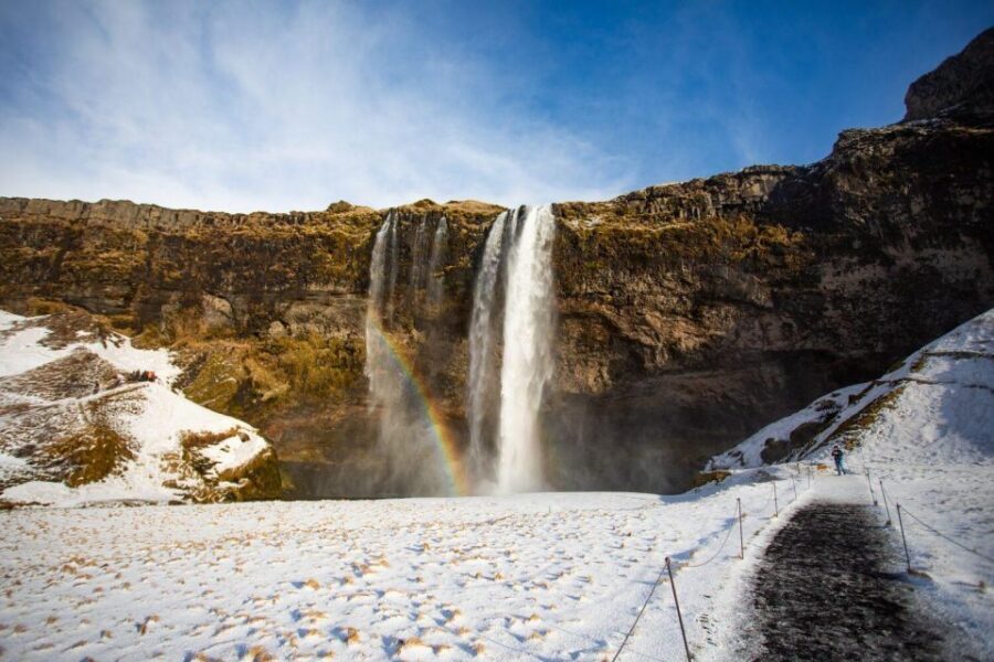 From Reykjavik: South Coast Tour & DC-3 Plane Wreck - Price and value at around $186: what’s included, what to plan for