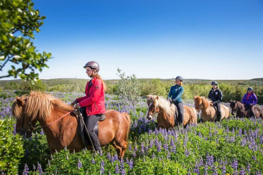 From Reykjavík: Viking Horseback Tour in Hafnarfjörður - Why Hafnarfjörður is a smart starting point for serious riding